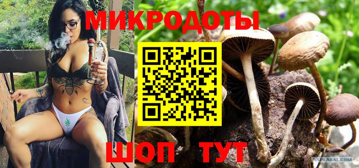 Псилоцибиновые грибы прущие грибы Междуреченск
