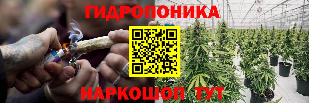 МАРИХУАНА сатива Междуреченск